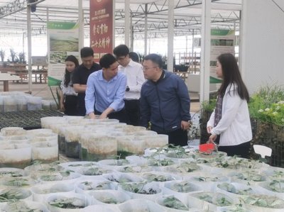 深入調研謀發展 院地合作促振興——花溪區委常委、組織部部長張楠一行蒞臨我院調研座談