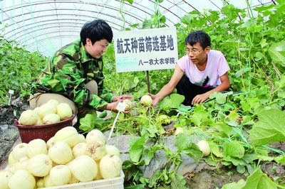 十三五開局之年 經濟社會發展平穩，農業科研試驗發展邁出新步伐