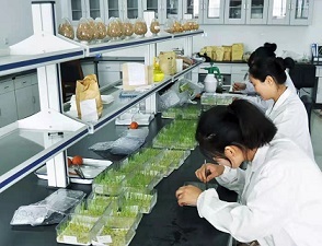 中農立華董事長蘇毅 以“種子+農藥”業(yè)務協同發(fā)展引領農業(yè)科學新未來