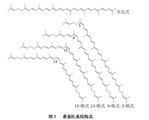 番茄紅素異構化研究進展 華中農業(yè)大學潘思軼教授團隊的農業(yè)科學探索